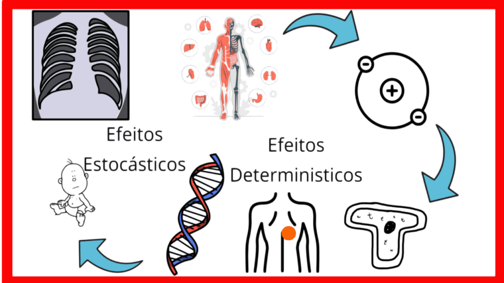 Espectro eletromagnético ilustrando tipos de radiação — do cotidiano à medicina